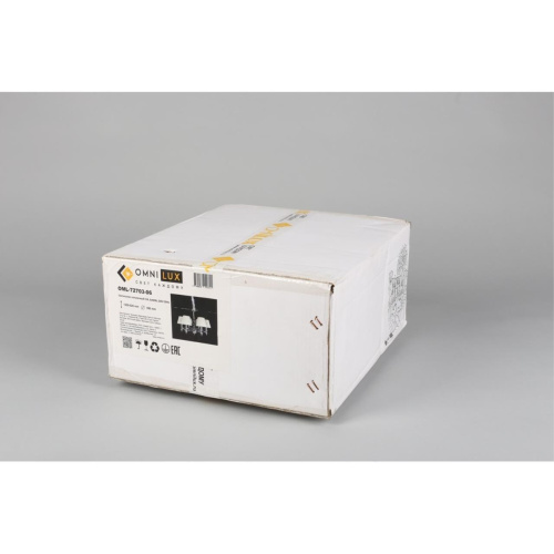 Люстра подвесная OML-72703-06 фото 2