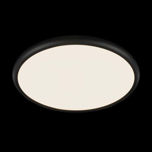 10454/500 Black  Потолочный светильник  LOFT IT Sweety фото 5