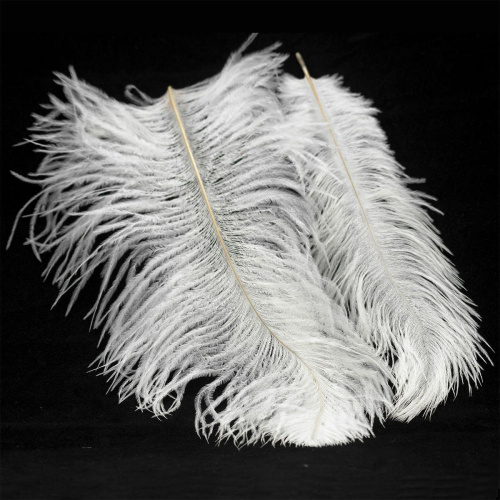 Подвесной светильник Lussole LSP-8601 фото 8 Подвесной светильник Lussole LSP-8601 фото 8