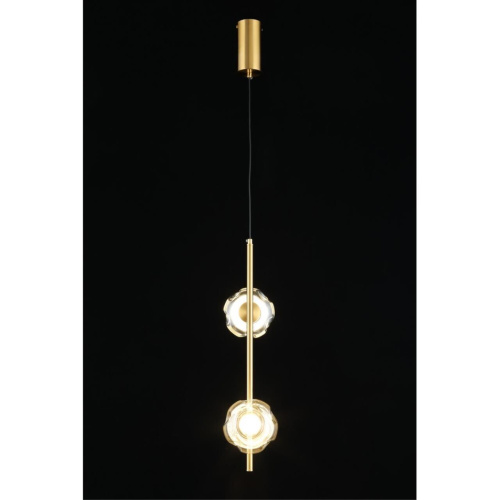 Светильник подвесной APL.074.06.02 фото 8