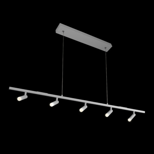 10260/5 White Подвесной светильник LOFT IT Sign фото 3