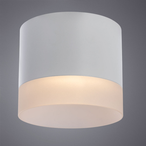 Потолочный светильник Arte Lamp Castor A5554PL-1WH фото 2