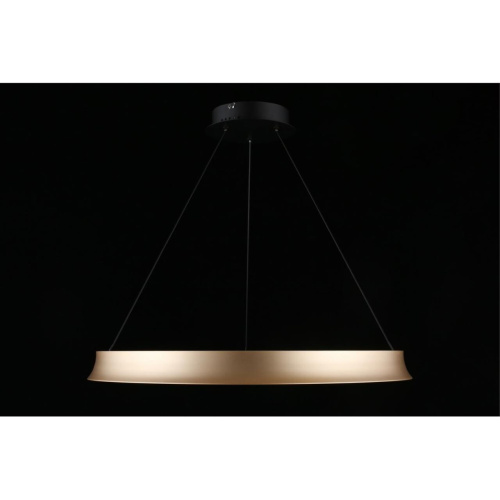 Люстра подвесная APL.787.03.50 фото 11