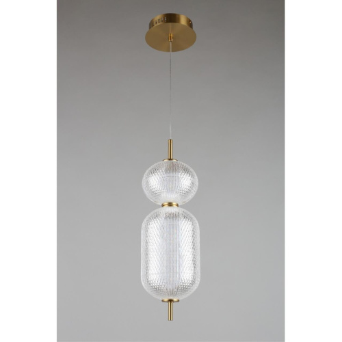 Светильник подвесной OML-68816-02 фото 5