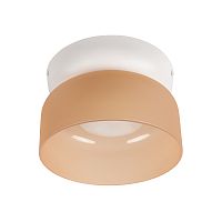 10466 Amber matte Потолочный светильник LOFT IT Totem