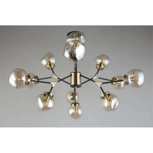 Люстра потолочная OML-95107-12 фото 8