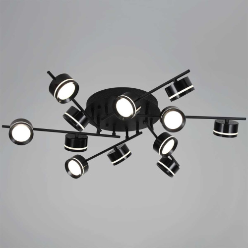 Потолочная люстра Reluce 10590-0.3-12 Black Потолочная люстра Reluce 10590-0.3-12 Black