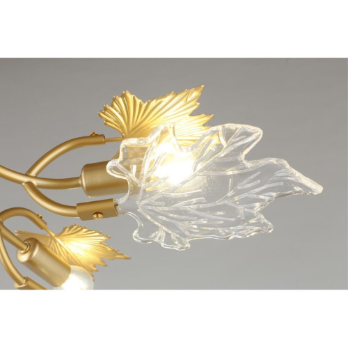 Люстра потолочная OML-52707-06 фото 3