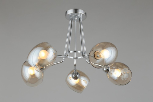 Люстра потолочная OML-27307-05 фото 12