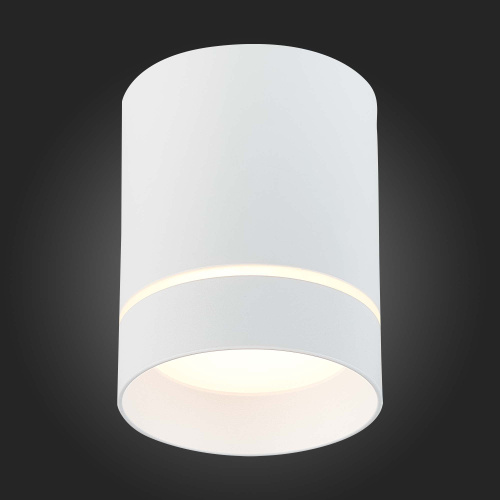 ST115.532.12 Светильник потолочный Белый LED 1*12W 3000K 840Lm Ra>90 120° IP20 D79xH100 170-240V Накладные светильники фото 4