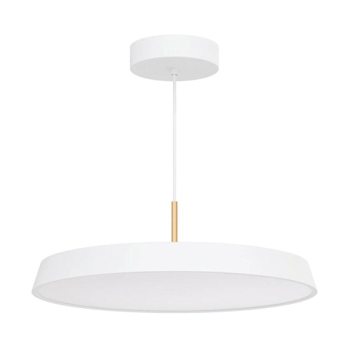Подвесной светодиодный светильник Arlight SP-Elegant-R500-37W Warm3000 033925(1) Подвесной светодиодный светильник Arlight SP-Elegant-R500-37W Warm3000 033925(1)