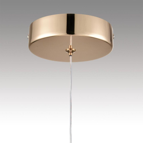 Подвесной светодиодный светильник Lumion Ledio Rimini 8083/1A фото 6 Подвесной светодиодный светильник Lumion Ledio Rimini 8083/1A фото 6