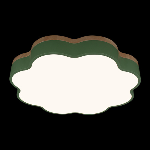 10225/36 Green Потолочный светильник LOFT IT Axel фото 2 10225/36 Green Потолочный светильник LOFT IT Axel фото 2