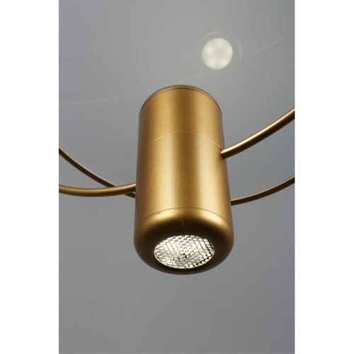 Светильник подвесной OML-29816-02 фото 7