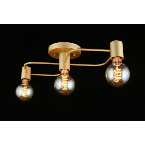 Люстра потолочная APL.911.07.03 фото 13