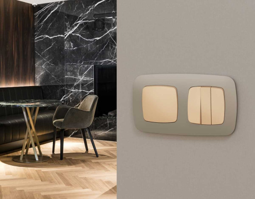 Комплект механизма 1-клавишного выключателя с самовозвратом Ambrella Volt OMEGA Шампань QUANT (OP6010, VM113) MO601050 фото 2