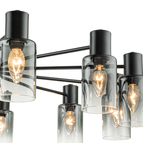 Светильник на штанге Escada 2120/12P E14*40W Black фото 4