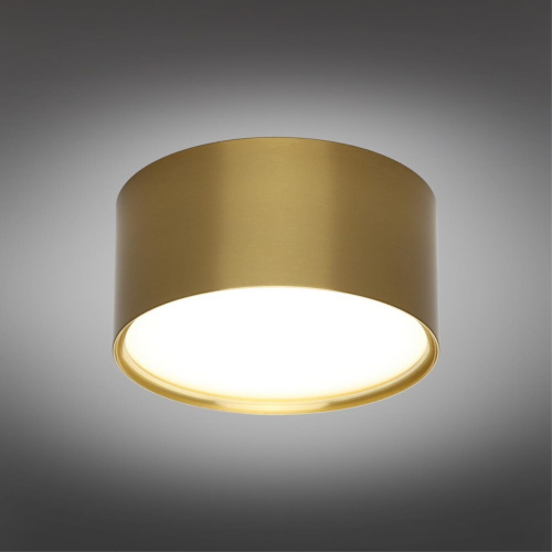 Светильник встраиваемый-накладной OML-103329-12 фото 3