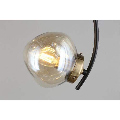 Люстра потолочная OML-95307-06 фото 10