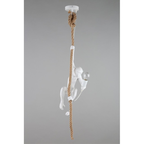 Светильник подвесной APL.309.06.01 фото 3