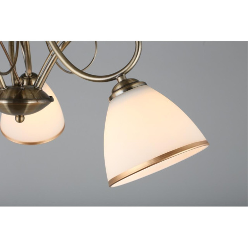 Люстра потолочная OML-25307-03 фото 6