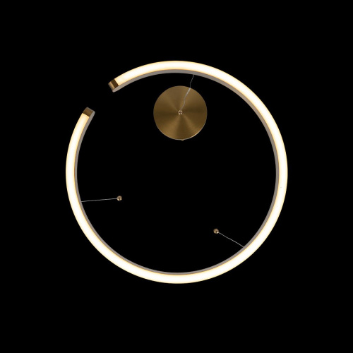 10013M Подвесной светильник LOFT IT Ring фото 4 10013M Подвесной светильник LOFT IT Ring фото 4