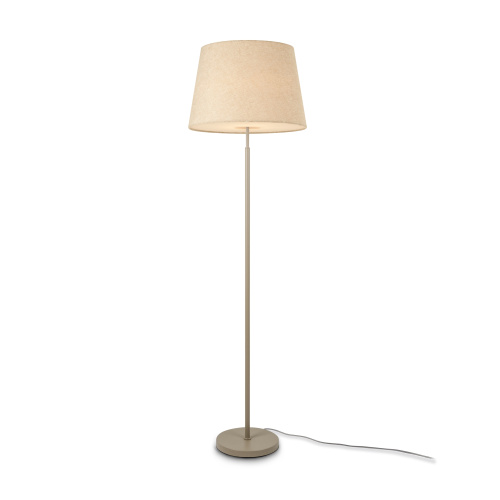 Напольный светильник (торшер) Freya FR2057FL-01BG фото 4