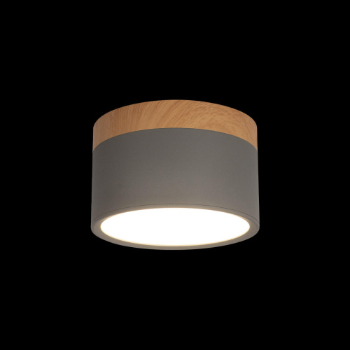 10162 Grey Накладной светильник LOFT IT Grape фото 2