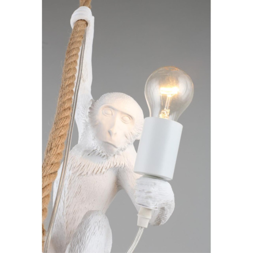 Светильник подвесной APL.309.06.01 фото 7