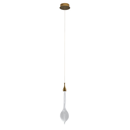 Подвесной светильник OD2433-1 gold/clear фото 2