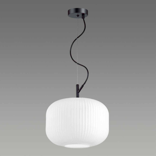 Подвесной светильник Odeon Light Pendant Roofi 4754/1 фото 3