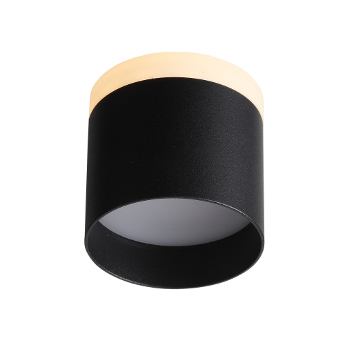 ST102.402.12 Светильник потолочный Черный LED 1*12W 3000K 936Lm Ra>80 120° IP20 D100xH90 170-240V Накладные светильники фото 2