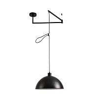 Подвесной светильник Lumion Armina Moderni 8321/1C