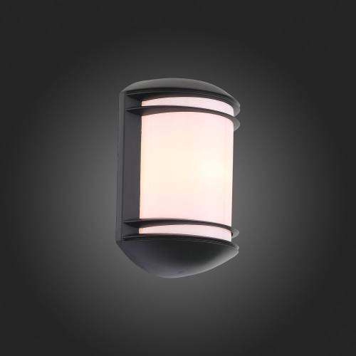 SL076.401.01 Светильник уличный настенный ST-Luce Черный/Белый E27 1*60W AGIO фото 2