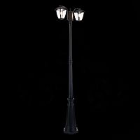 SL081.405.02 Светильник уличный наземный ST-Luce Черный/Черный, Прозрачный E27 2*40W SIVINO