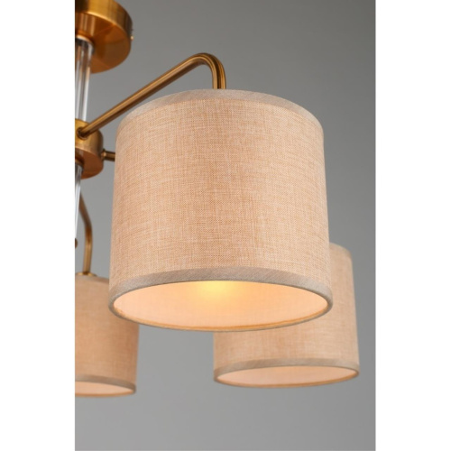 Люстра потолочная OML-56907-05 фото 2