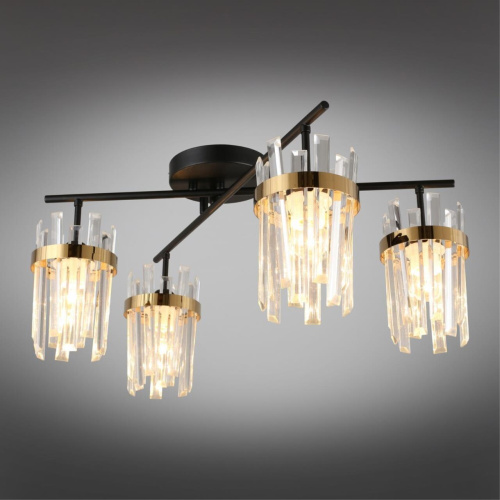 Люстра потолочная OML-67707-04 фото 8