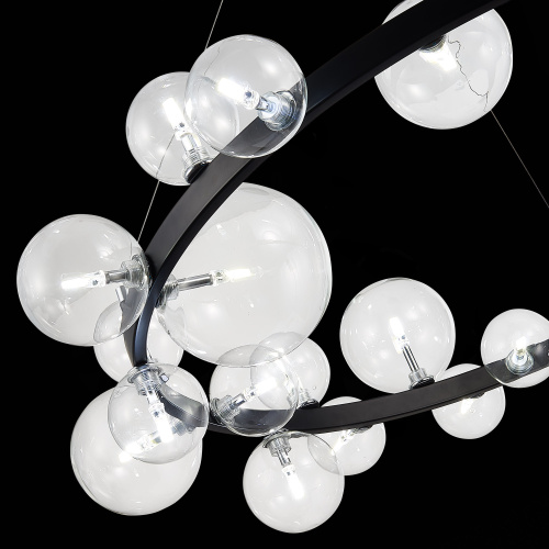 SL1165.403.24 Светильник подвесной ST-Luce Черный/Прозрачный G4 24*5W NECTON фото 10