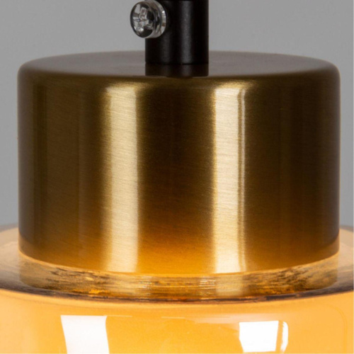Подвесной светильник Arte Lamp Leo A7027SP-1BK фото 3
