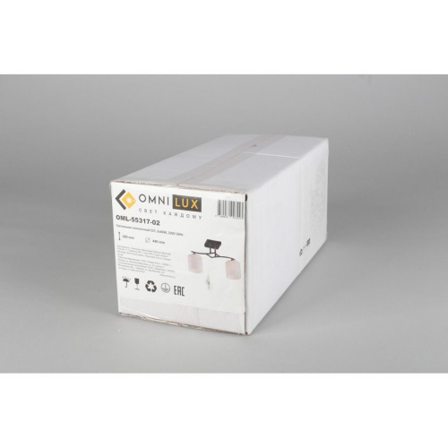 Люстра потолочная OML-55317-02 фото 2 Люстра потолочная OML-55317-02 фото 2