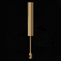 ST028.202.00 Потолочное основание для блока питания с вводом питания ST-Luce Золотистый FARM