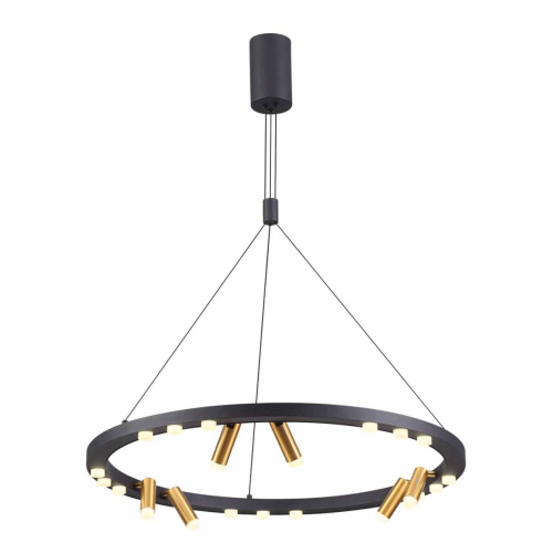 Подвесной светодиодный светильник Odeon Light L-vision Beveren 3918/63L фото 3