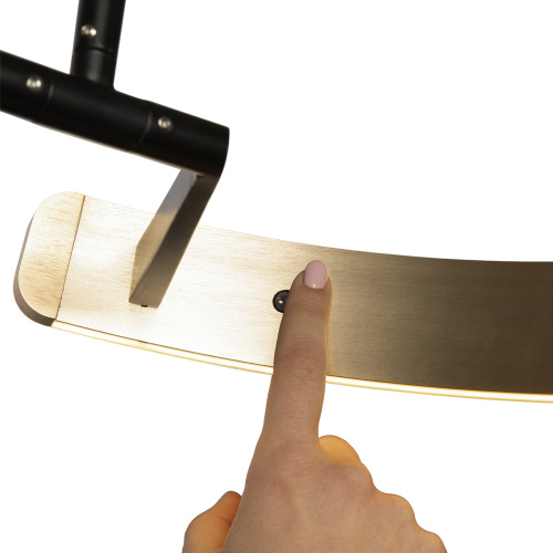 10027 Торшер LOFT IT Ring фото 5