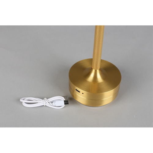 Настольная лампа APL.064.04.05 фото 7