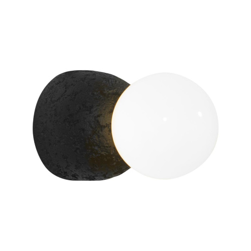 10109W Dark grey Бра LOFT IT Quill фото 3 10109W Dark grey Бра LOFT IT Quill фото 3