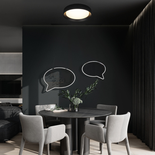 10202 BB  Потолочный светильник  LOFT IT Coin фото 7