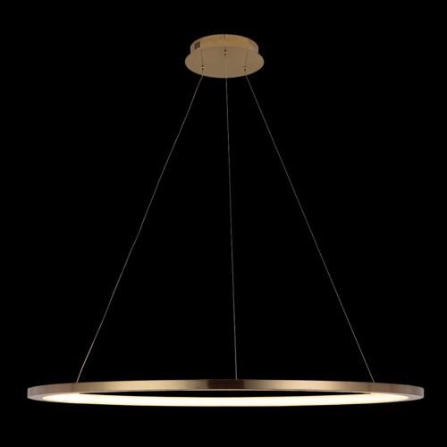 10014XL Подвесной светильник LOFT IT Ring фото 4 10014XL Подвесной светильник LOFT IT Ring фото 4