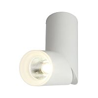 Светильник встраиваемый-накладной OML-100209-10