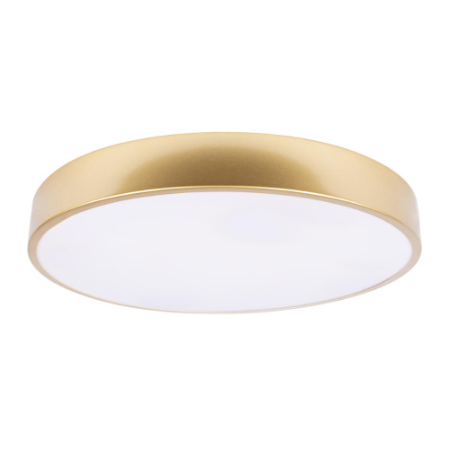 10228/A Потолочный светильник LOFT IT Flims 10228/A Потолочный светильник LOFT IT Flims