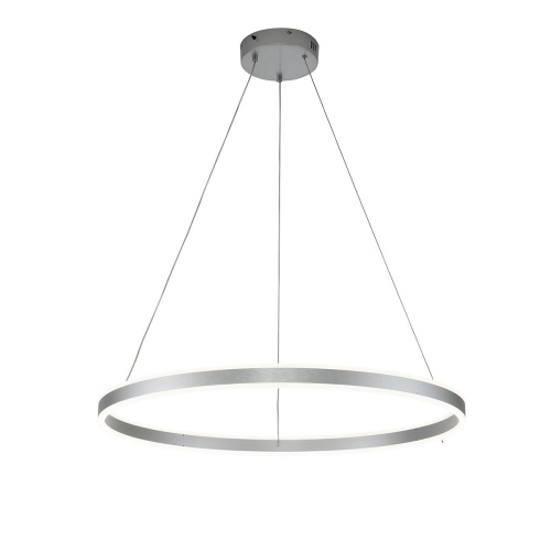 Подвесной светильник 14001/1P Silver